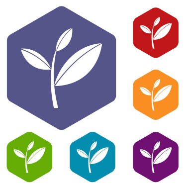 Çay yaprağı Filiz Icons set