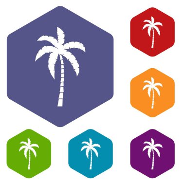 Palmiye ağacı Icons set