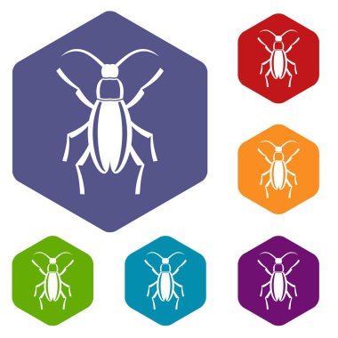 Beetle bug Icons set