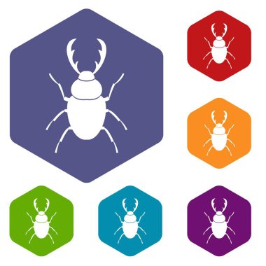 Stag beetle Icons set