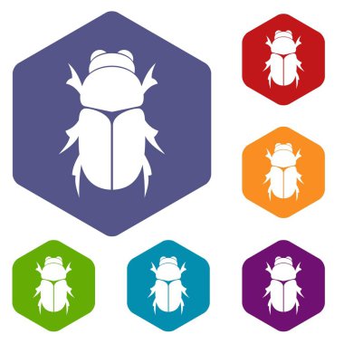 Chafer böceği Icons set