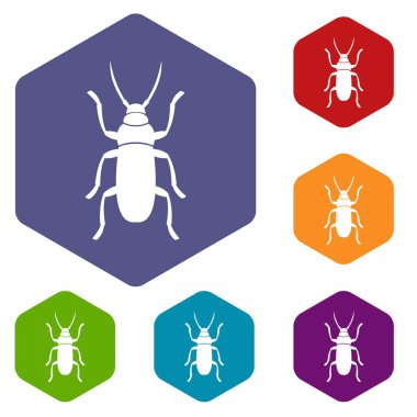Beetle bug Icons set