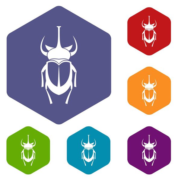 Weevil beetle icons set