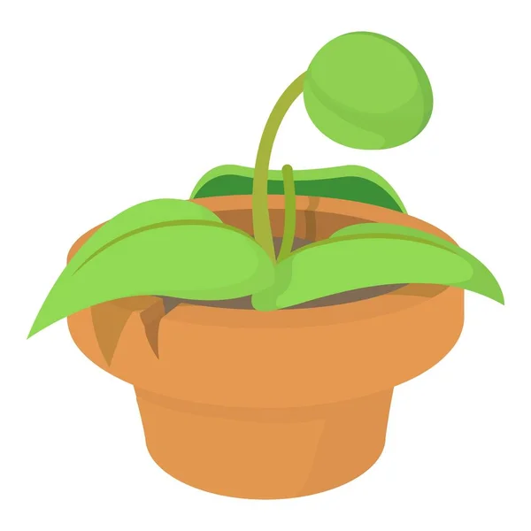Plant in pot icon, cartoon style — Stock Vector