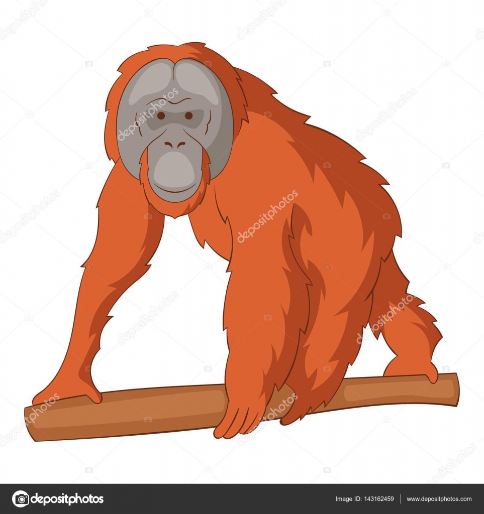 Orangutang-ikonen, tecknad stil — Stock Vektor © ylivdesign #143162459