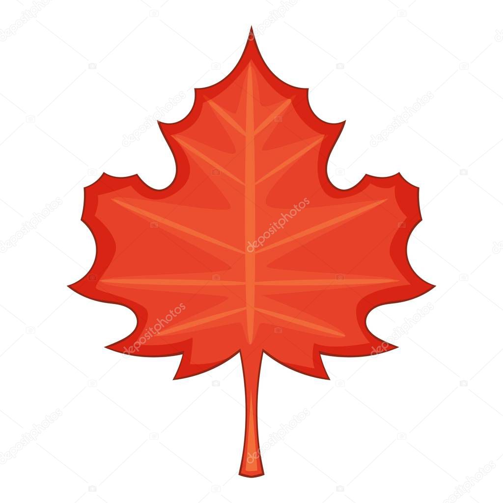 Maple leaf icon, cartoon style