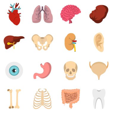 İnsan organlarını düz Icons set