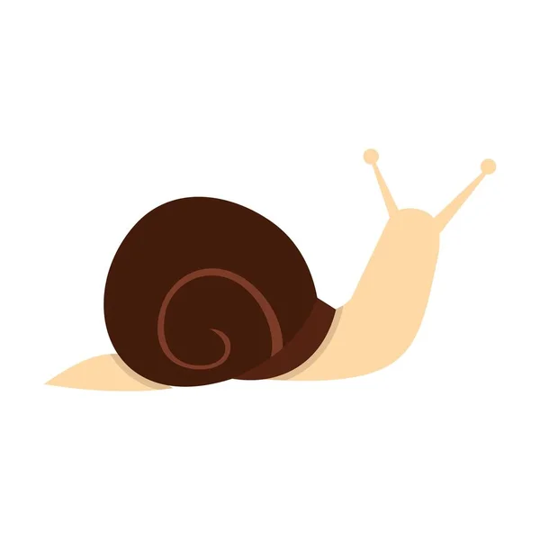 Snail icon, flat style — Stock Vector