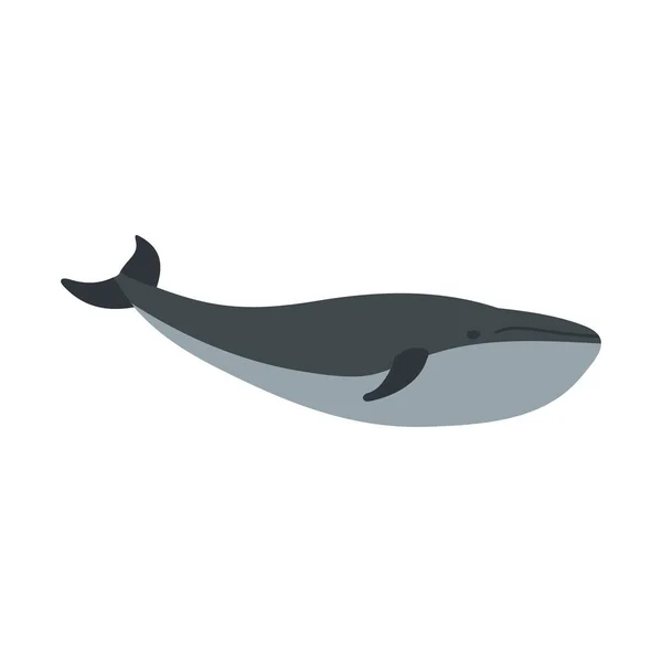 Wieloryb ikona, płaski — Wektor stockowy