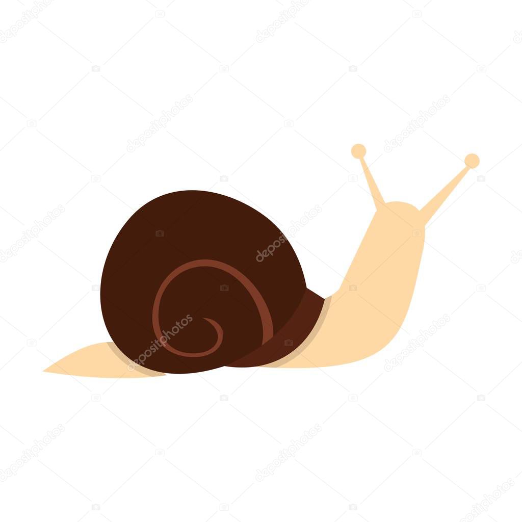 Snail icon in flat style isolated on white background vector illustration