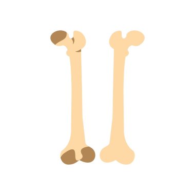 Kemikler simgesi, düz stil