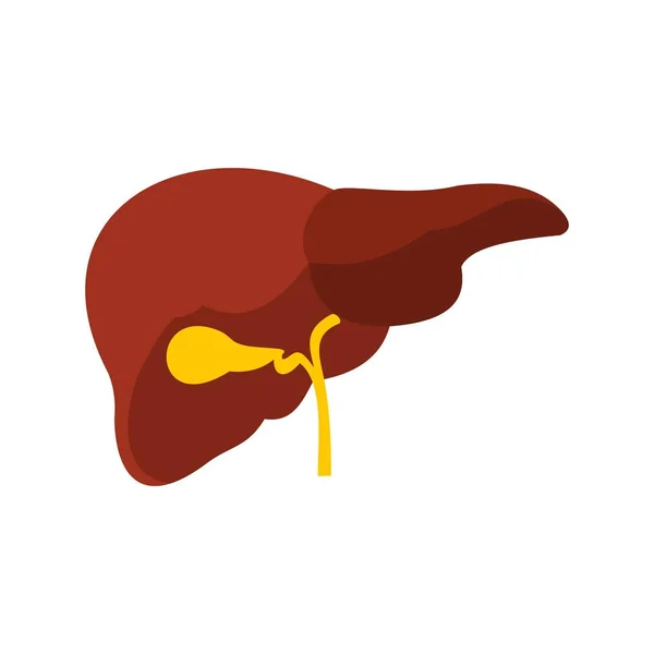 Ikona wątroby, płaski — Wektor stockowy