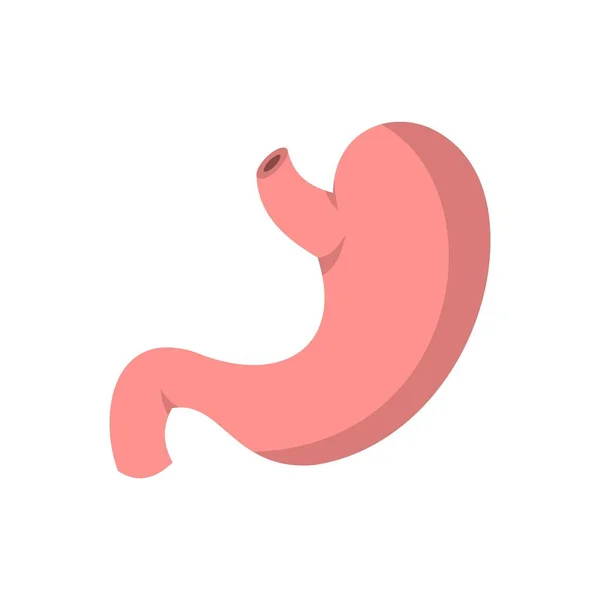 Icono de estómago, estilo plano — Vector de stock