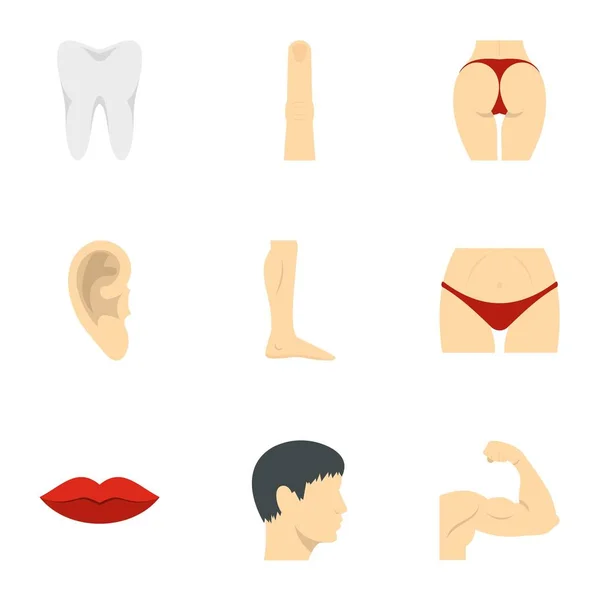 Partes exteriores del conjunto de iconos del cuerpo, estilo plano — Vector de stock