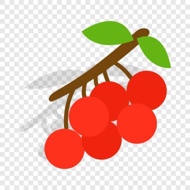 Rowan şube izometrik simgesi