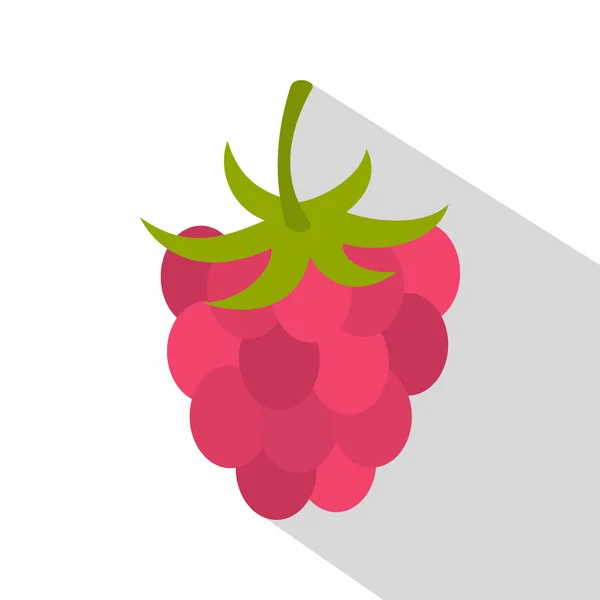 Ripe fresh raspberry icon, flat style — Stock Vector
