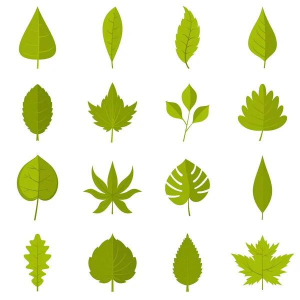 Icônes de feuilles de plantes dans un style plat — Image vectorielle