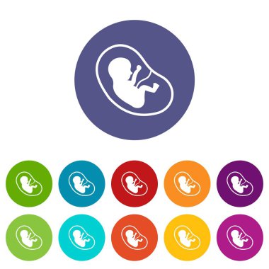 Düz vektör fetus Icons set