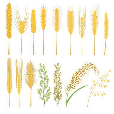 Spica formları simgeler ayarla, tarzı çizgi film