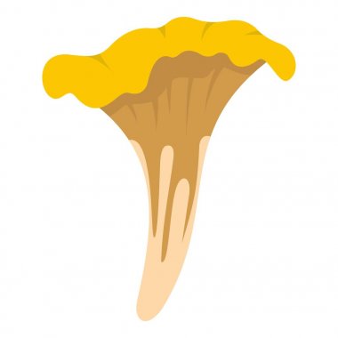 İzole Cantharellus cibarius simgesi