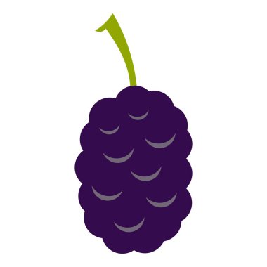 İzole taze dut simgesi