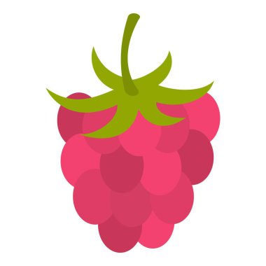 Olgun taze ahududu simgesi izole