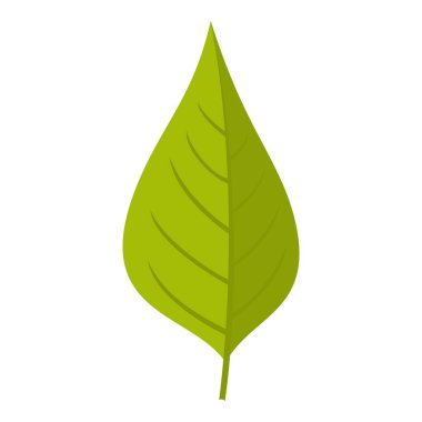 Elma ağacı yaprak yeşil simge izole