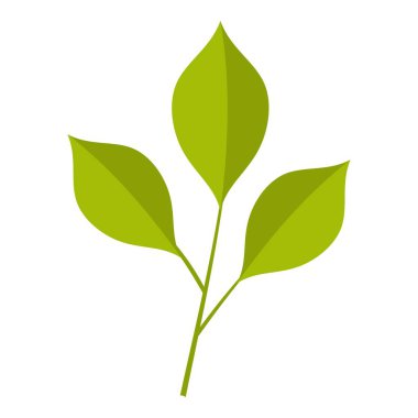 İzole simgesi yeşil kiraz yaprakları