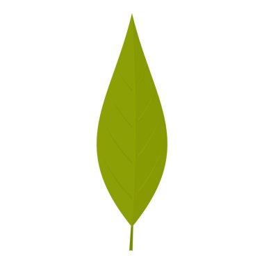 İzole willow simgesinin yaprak yeşil