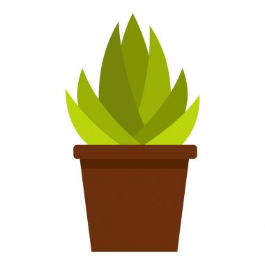 Etli çiçek pot simgesi izole