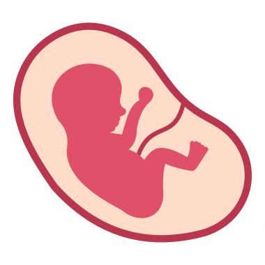 Bebek cenin izole rahim simgesi