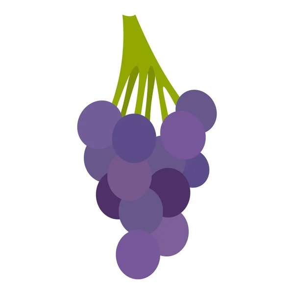 Bando de uvas azuis ícone isolado —  Vetores de Stock