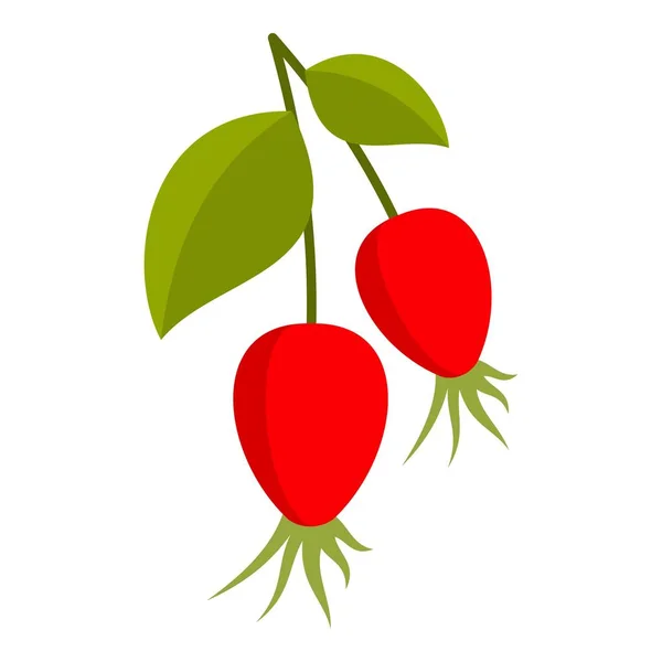 Ripe berries of a dogrose icon isolated — Stock Vector