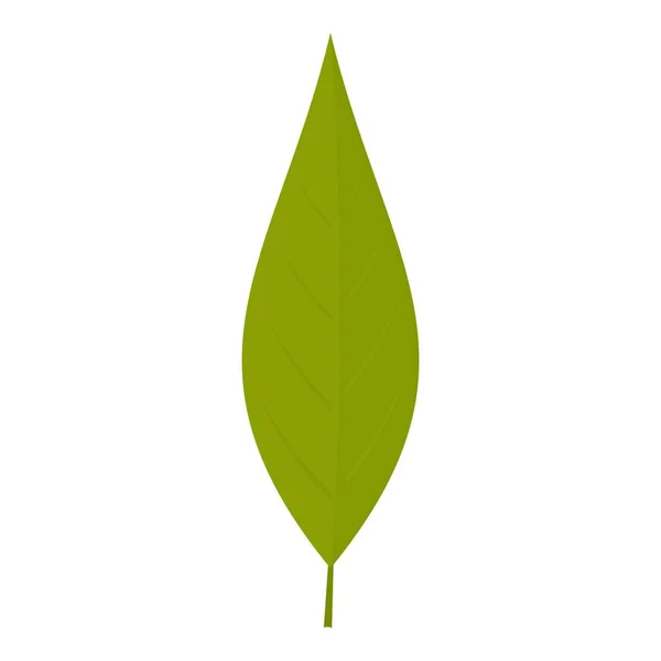 Folha verde de ícone de salgueiro isolado — Vetor de Stock