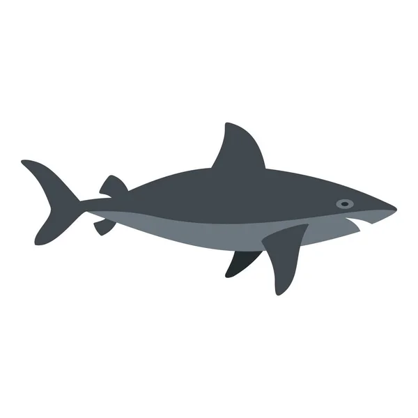 Grey shark fish icon isolated — Stock Vector