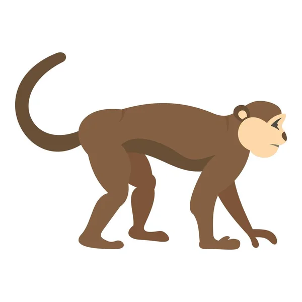 Εικονίδιο πίθηκος μακάκος απομονωμένες — Διανυσματικό Αρχείο