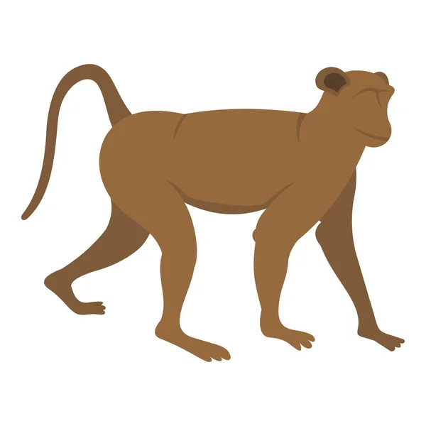Icona scimmia marrone isolata — Vettoriale Stock