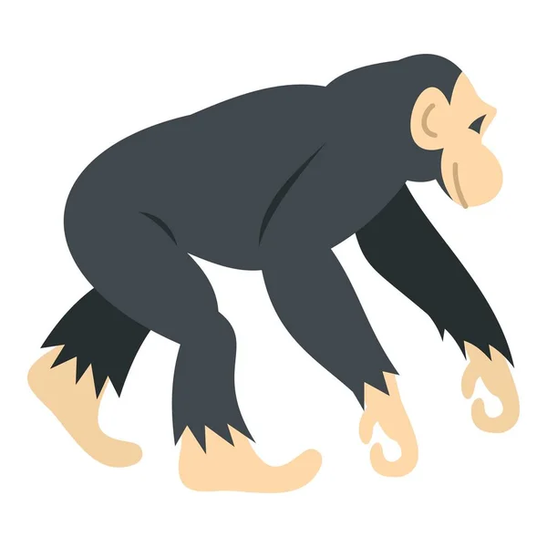 Schimpanse, Ikone isoliert — Stockvektor