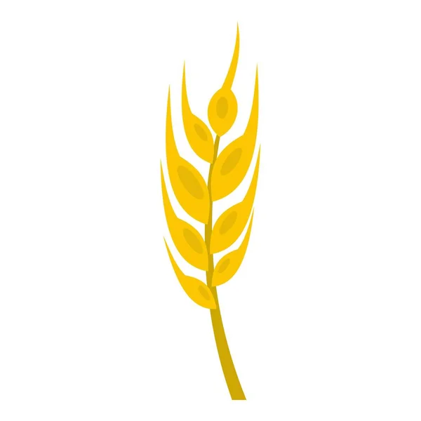 Barley spike icon isolated — Stock Vector
