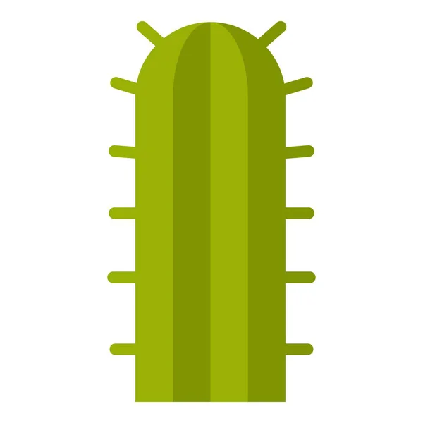 Cactus verde planta icono aislado — Vector de stock
