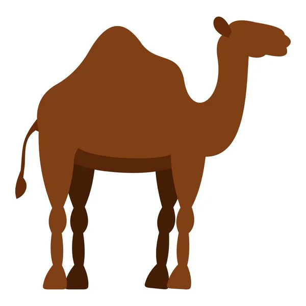 Dromedary kameel pictogram geïsoleerd — Stockvector