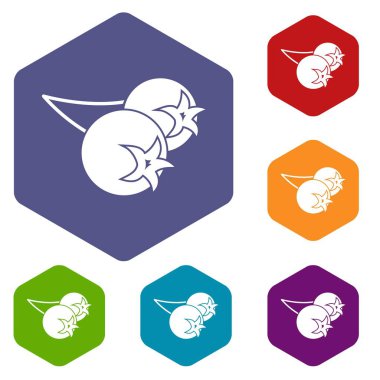 Altıgen chokeberry veya aronia berry Icons set