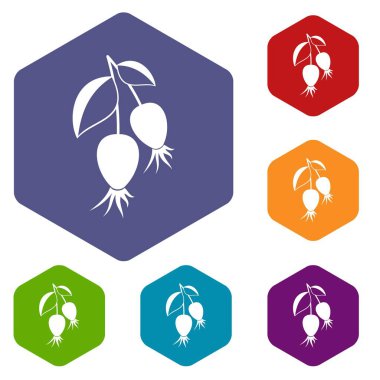 Altıgen Dogrose çilek şube Icons set