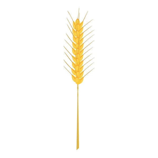 Barley stalk icon, cartoon style — Stock Vector