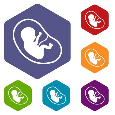 Altıgen fetus Icons set