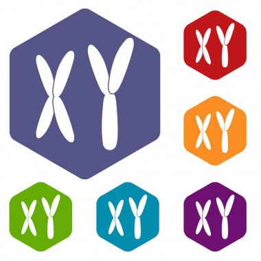 Altıgen insan kromozomlarının Icons set
