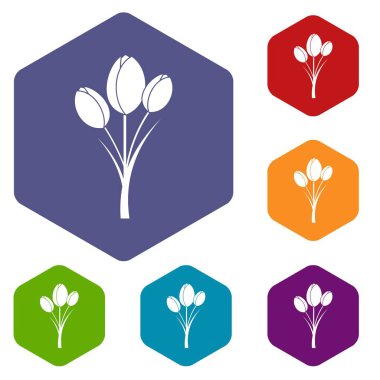 Altıgen Lale Icons set