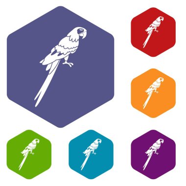 Altıgen Brezilyalı papağan Icons set