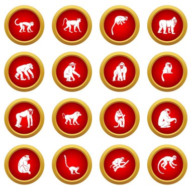 Maymun türleri simge kırmızı daire seti