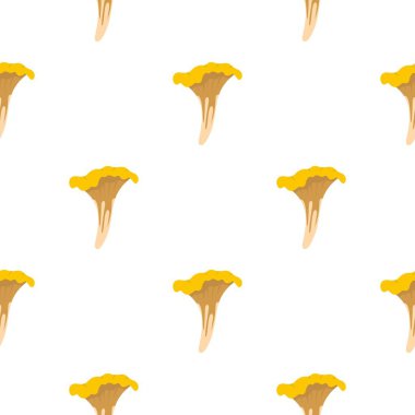 Cantharellus cibarius desen düz